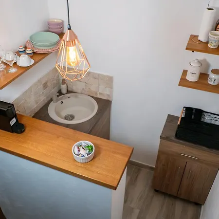 Casa Puscariu *