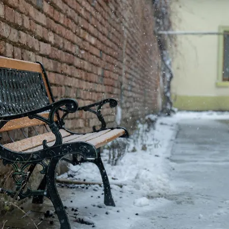 Casa Puscariu * Braşov