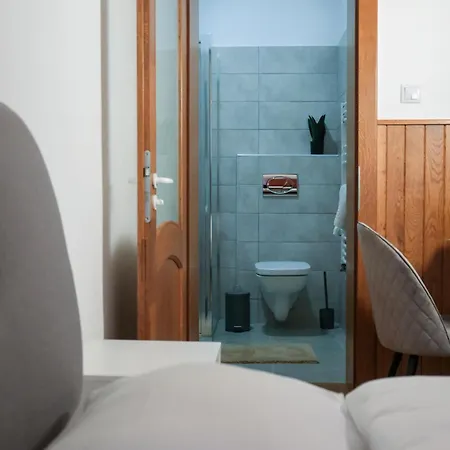 Casa Puscariu Apartament *