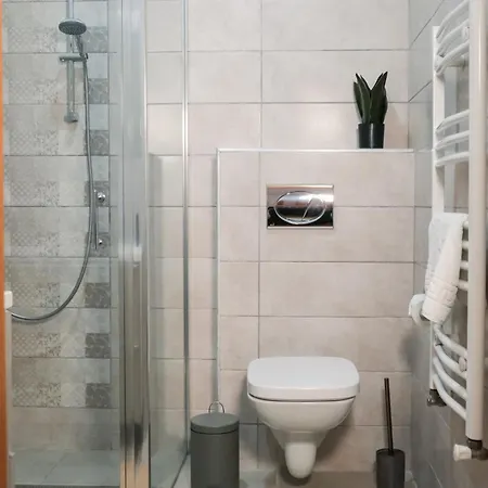 Casa Puscariu Brasov