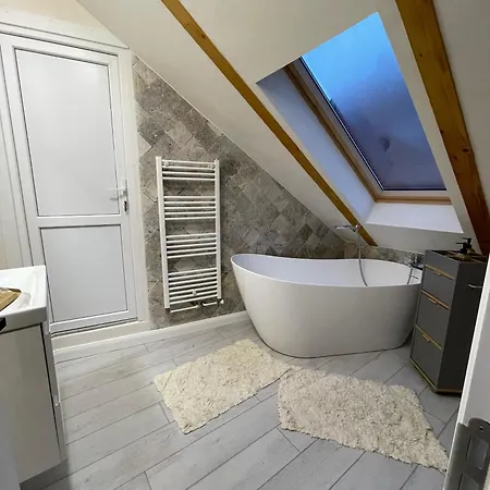 Casa Puscariu Apartament