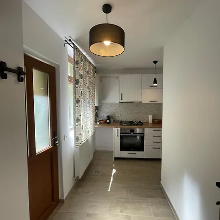 Apartament Casa Puscariu *