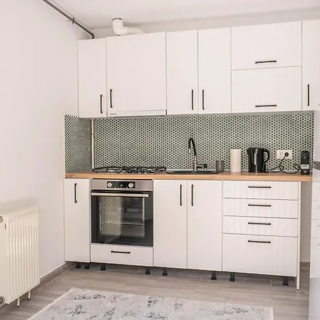Casa Puscariu Apartment Brașov