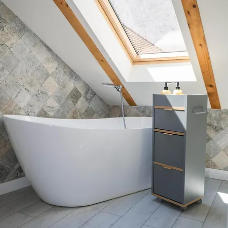 Casa Puscariu * Brasov