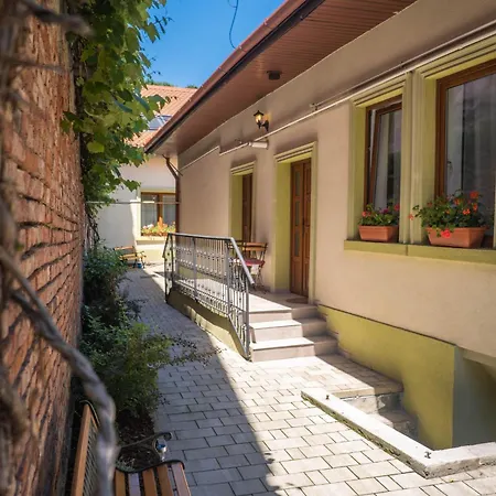 Apartment Casa Puscariu Brasov