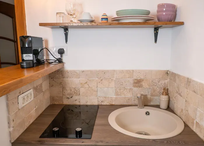 Casa Puscariu * Brasov