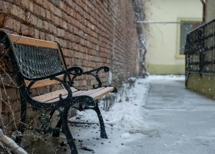 Casa Puscariu * Brasov