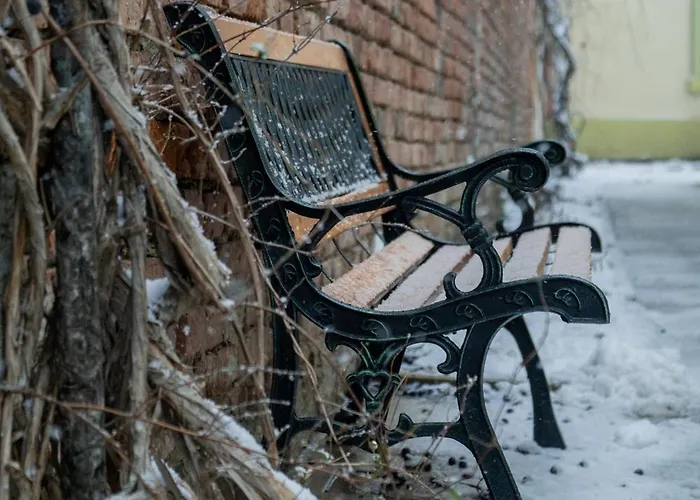 Casa Puscariu Apartment Brasov