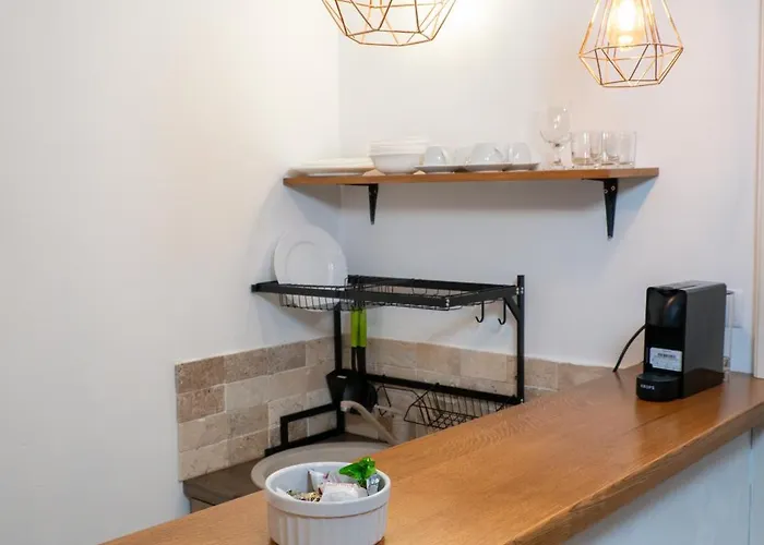 Casa Puscariu * Braşov