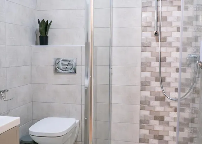 Casa Puscariu Apartment Brasov