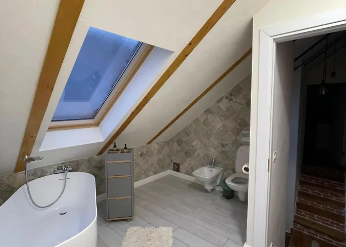 Casa Puscariu * Brasov