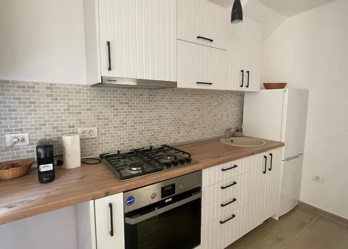 Casa Puscariu Apartment *