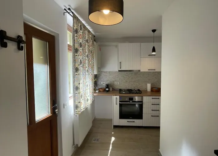 Apartamento Casa Puscariu *